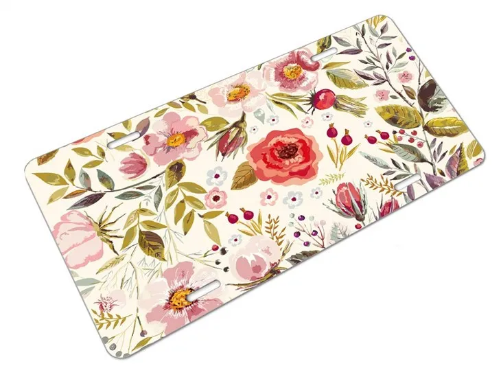 Placa de matrícula de metal estampada brillante